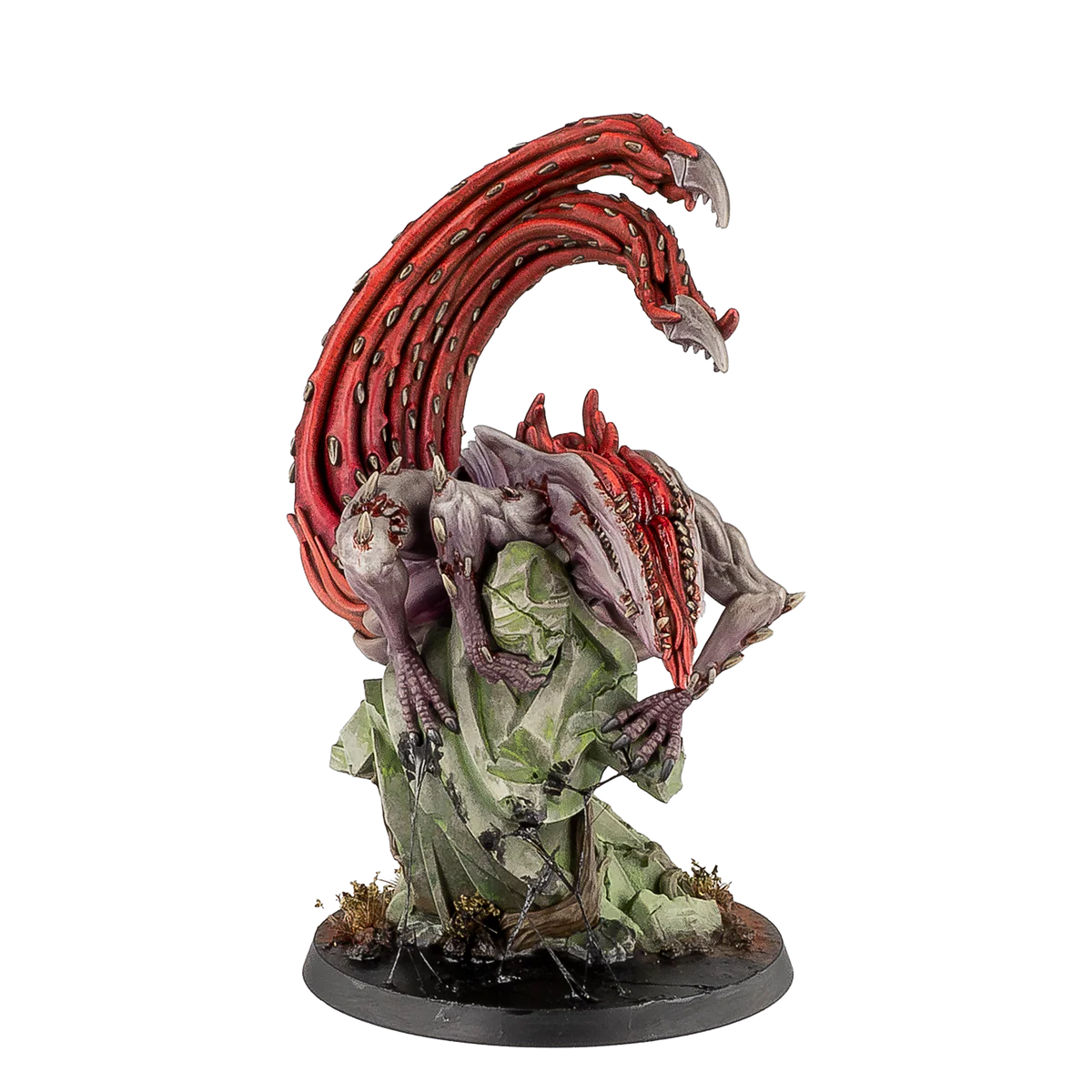 Kipleacht [JUNE PRE-ORDER]